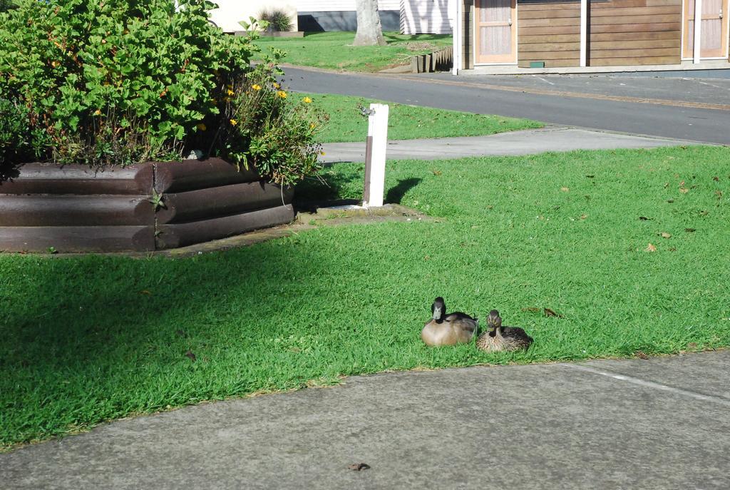 Hotel Avondale Motor Park Auckland Esterno foto